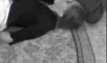 سه سکس خارجی مادر و پسر