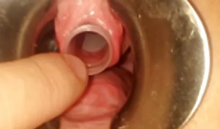 قرمز مامان بزرگ حشری جونز قرمز سر عشق مرغ عشق بزرگ جوانان عمیق
