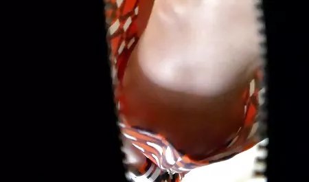 به دنبال پیدا کردن الت مرد بسر خطر به آجر سگس با مادر Charli m